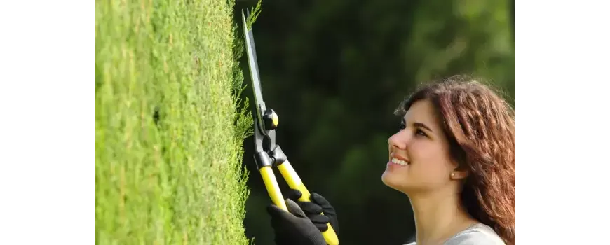 Японски ножици