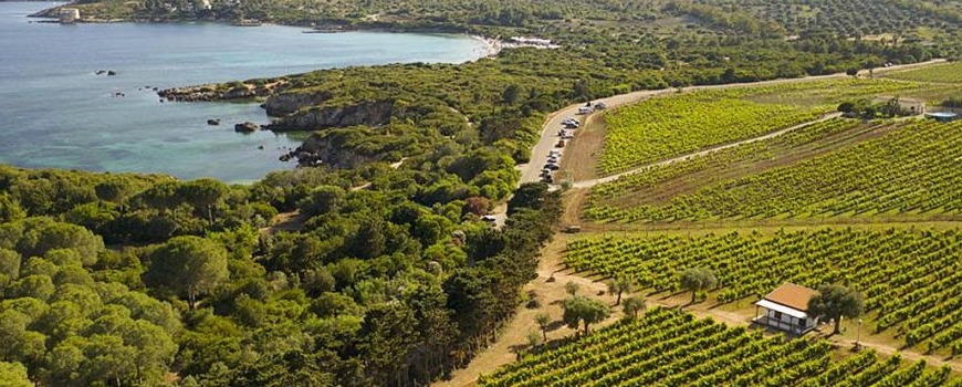 Sardegna