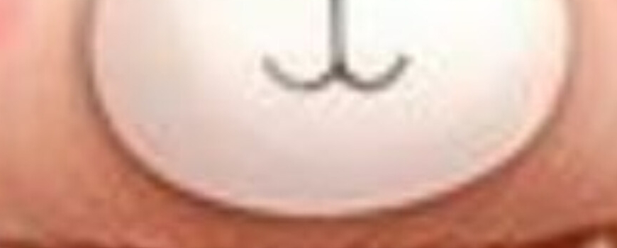 Тема ''Мече с розова рокличка ''