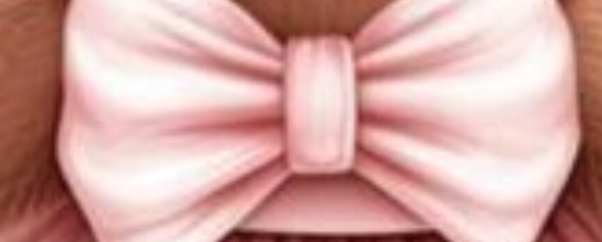 Тема '' Мече с рокля 2 ''