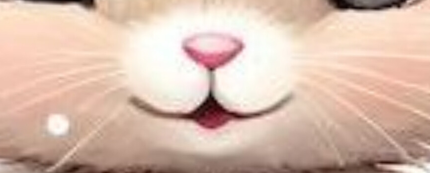 Тема '' Зайче с рокличка ''