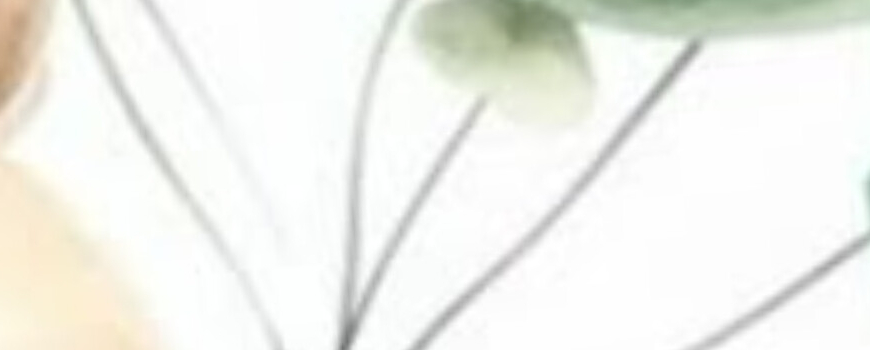 Тема '' Мече - синьо и зелено''