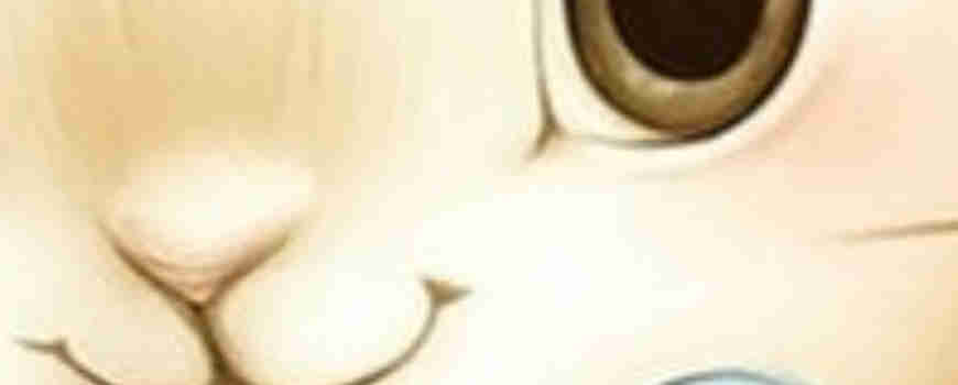 Тема ''Зайче с папионка''