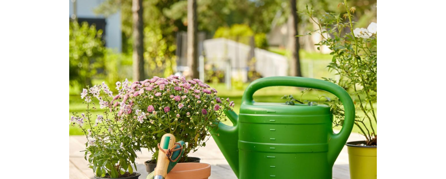 Дом и градина