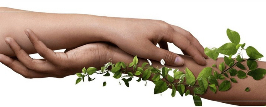 Чудеса за тялото