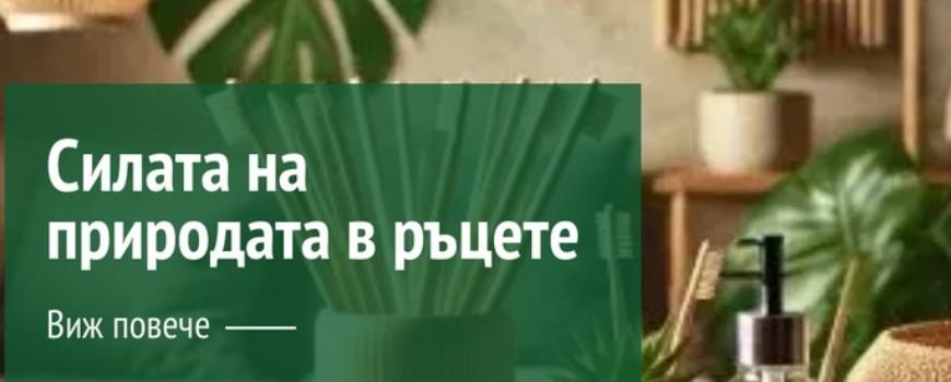 Бамбукова Вселена