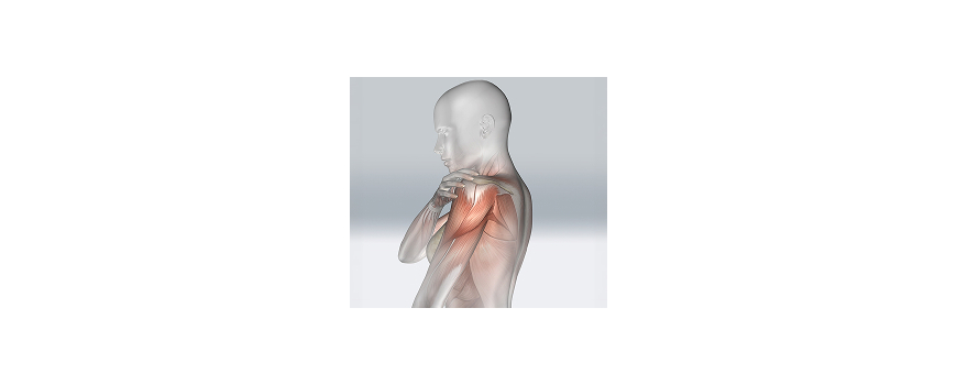 Recuperare și Repararea Țesuturilor