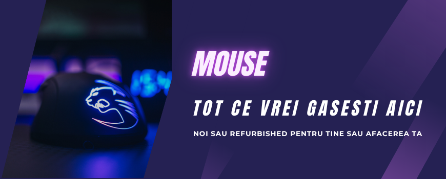 Mouse