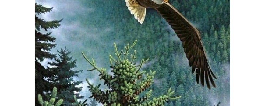 Consultații la cabinetul Terapii-Borri