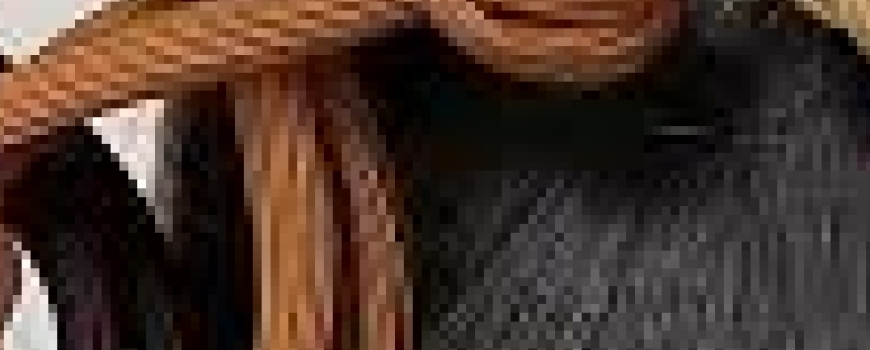 Elastice