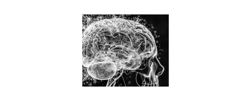 Brain Health and Cognitive Focus
