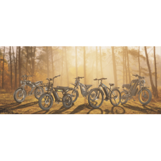 Електрически колела