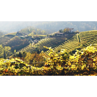 Friuli Venezia Giulia, Italy