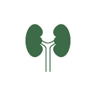 Urology