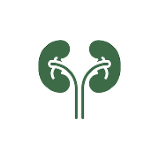 Nephrology