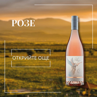 Розе
