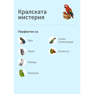 Големи папагали