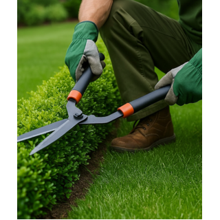 Поддръжка на зелени площи