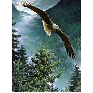 Consultații la cabinetul Terapii-Borri