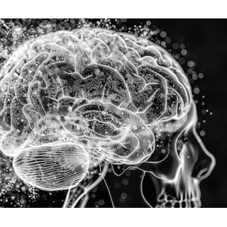 Brain Health and Cognitive Focus