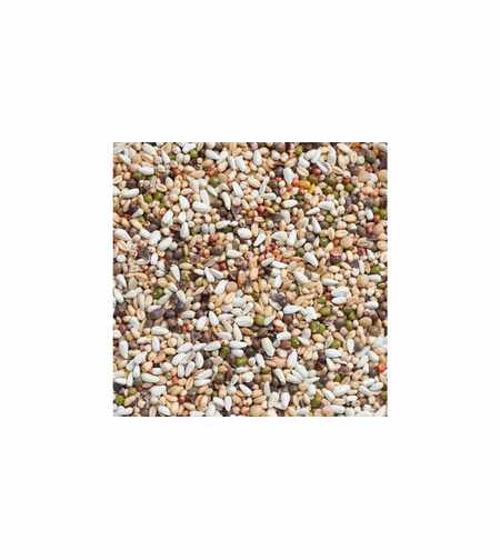 Deli Nature 33 Large Parakeets & Parrots Germination Seeds - Смеска за Покълване 15 кг
