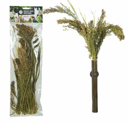 Лакомство за папагали Back Zoo Nature Panicum
