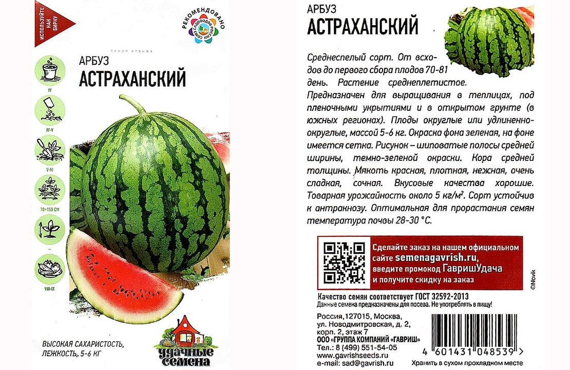 Вопреки расхожего мнения настоящий астраханский арбуз. Арбуз сорт Астраханский. Сорта астраханских арбузов. Арбуз Астраханский, вес. Арбуз Астраханский описание сорта.