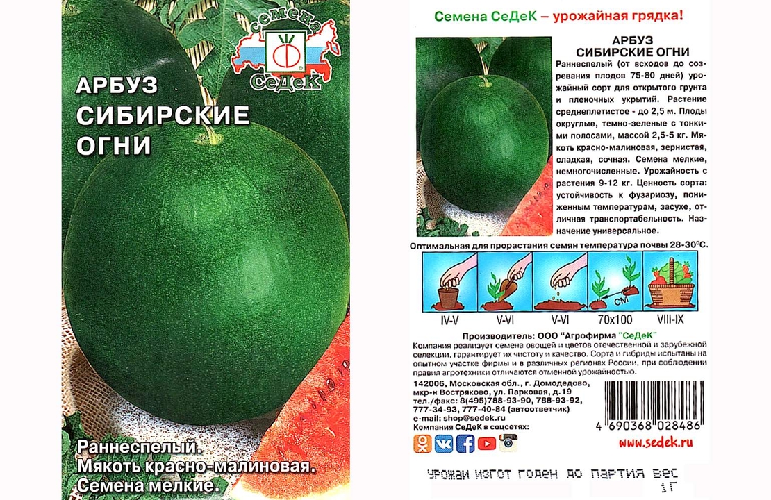Сибирские Огни Арбуз Описание