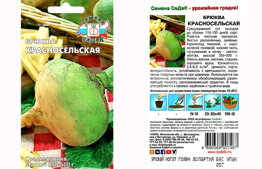 Брюква схема посадки