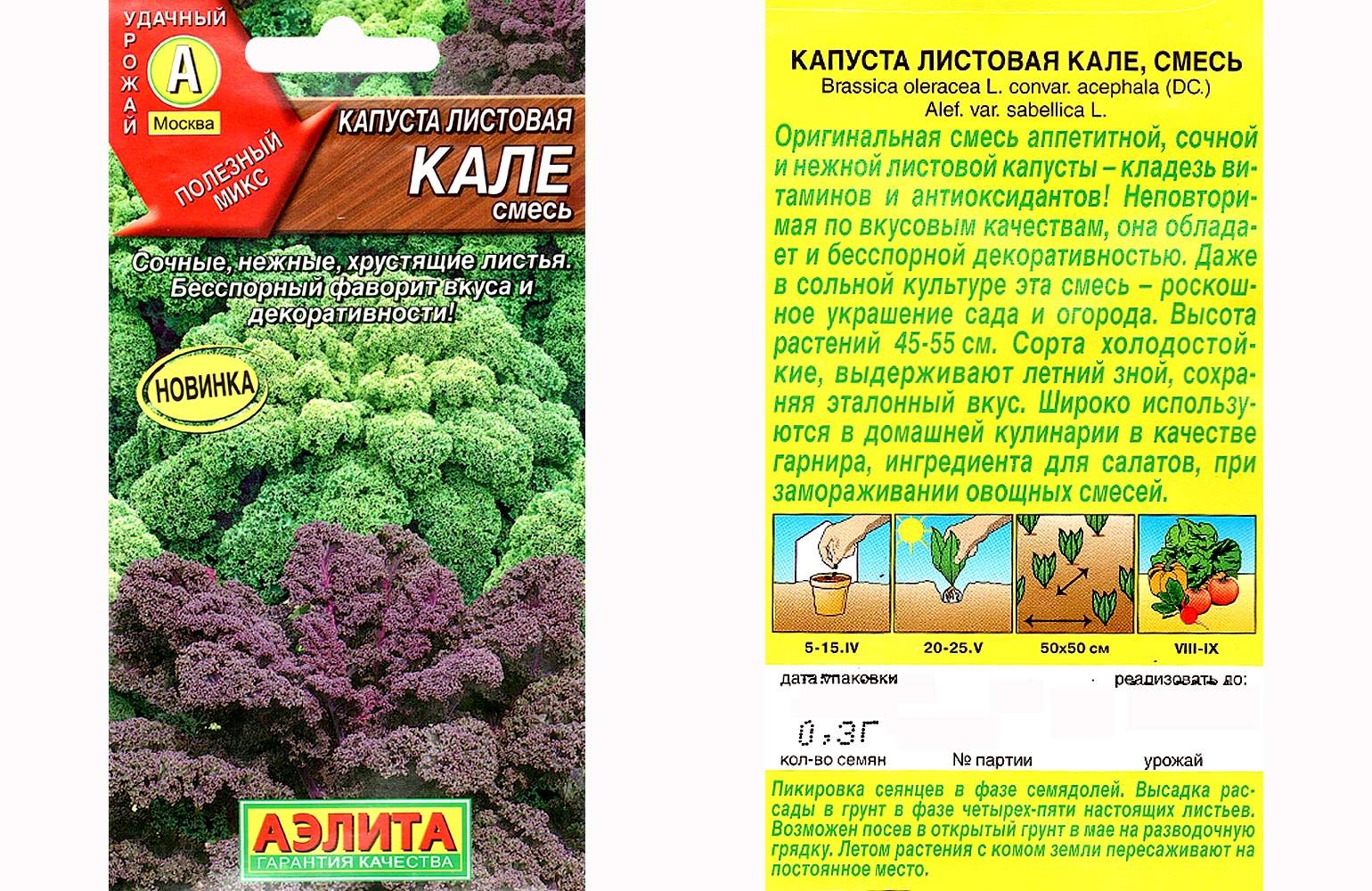Капуста Листовая Кале Купить Семена