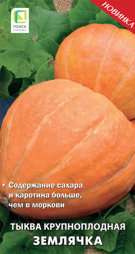 Купить Тыква Каротиновая Описание Сорта Фото Отзывы
