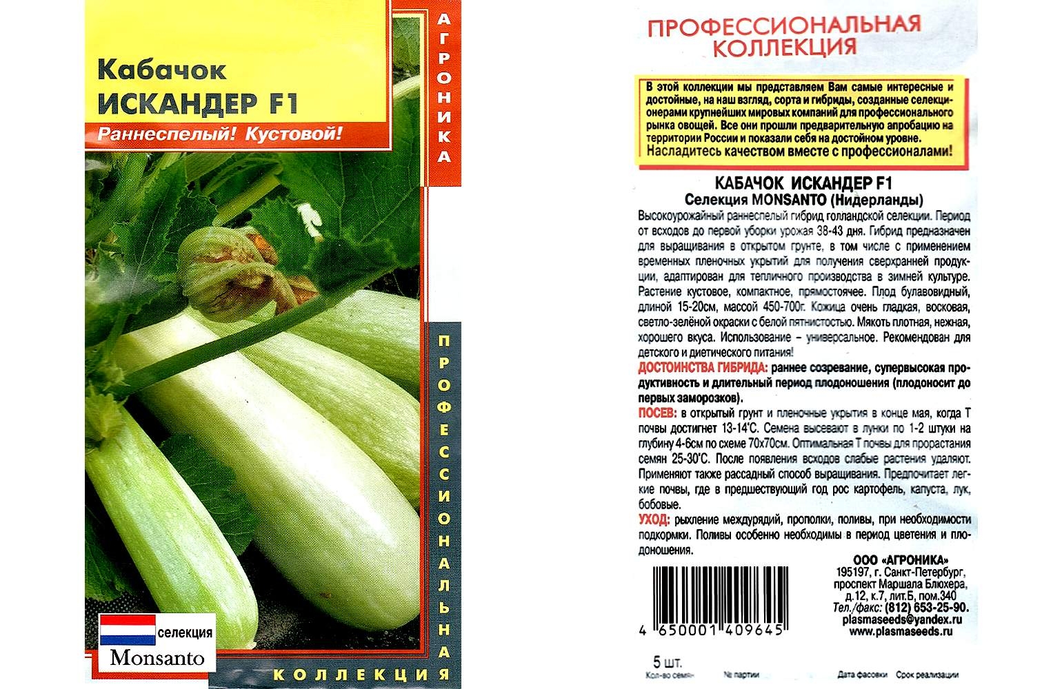 Кабачки Искандер Купить Семена В Москве