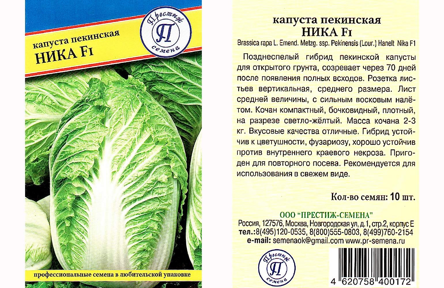 Пекинская Капуста Чача Купить Семена