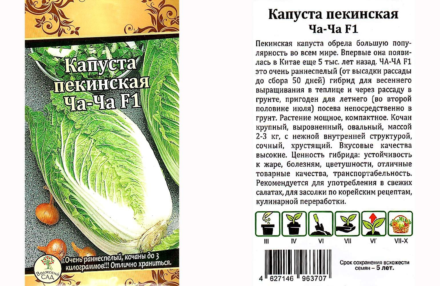 Пекинская Капуста Чача Купить Семена