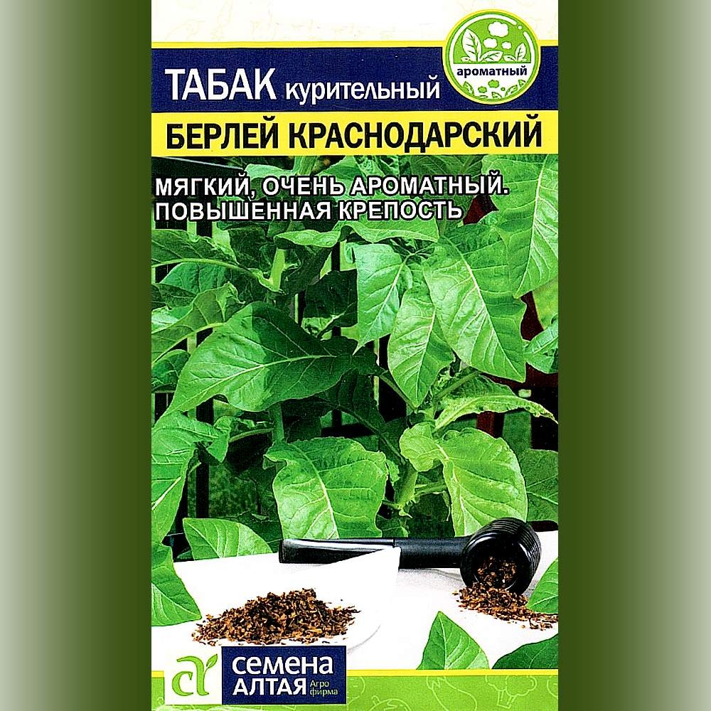 Купить Семена Табак Курительный Цветущий Сад