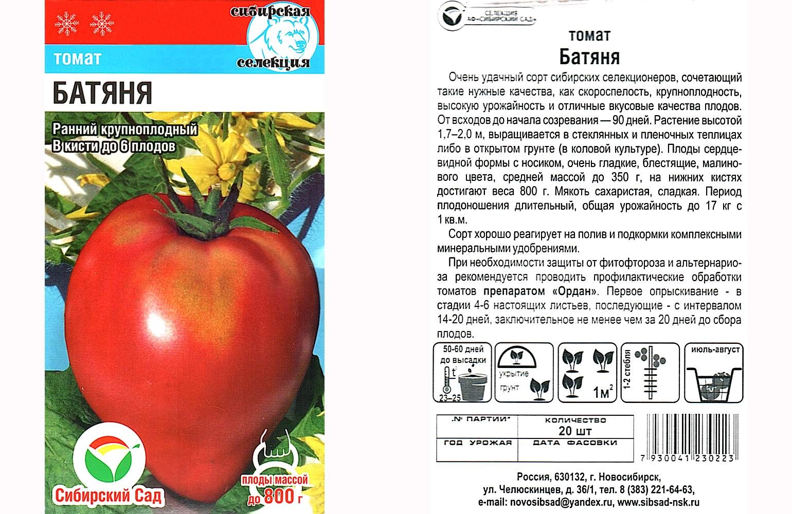 Семена Помидор Батяня Купить