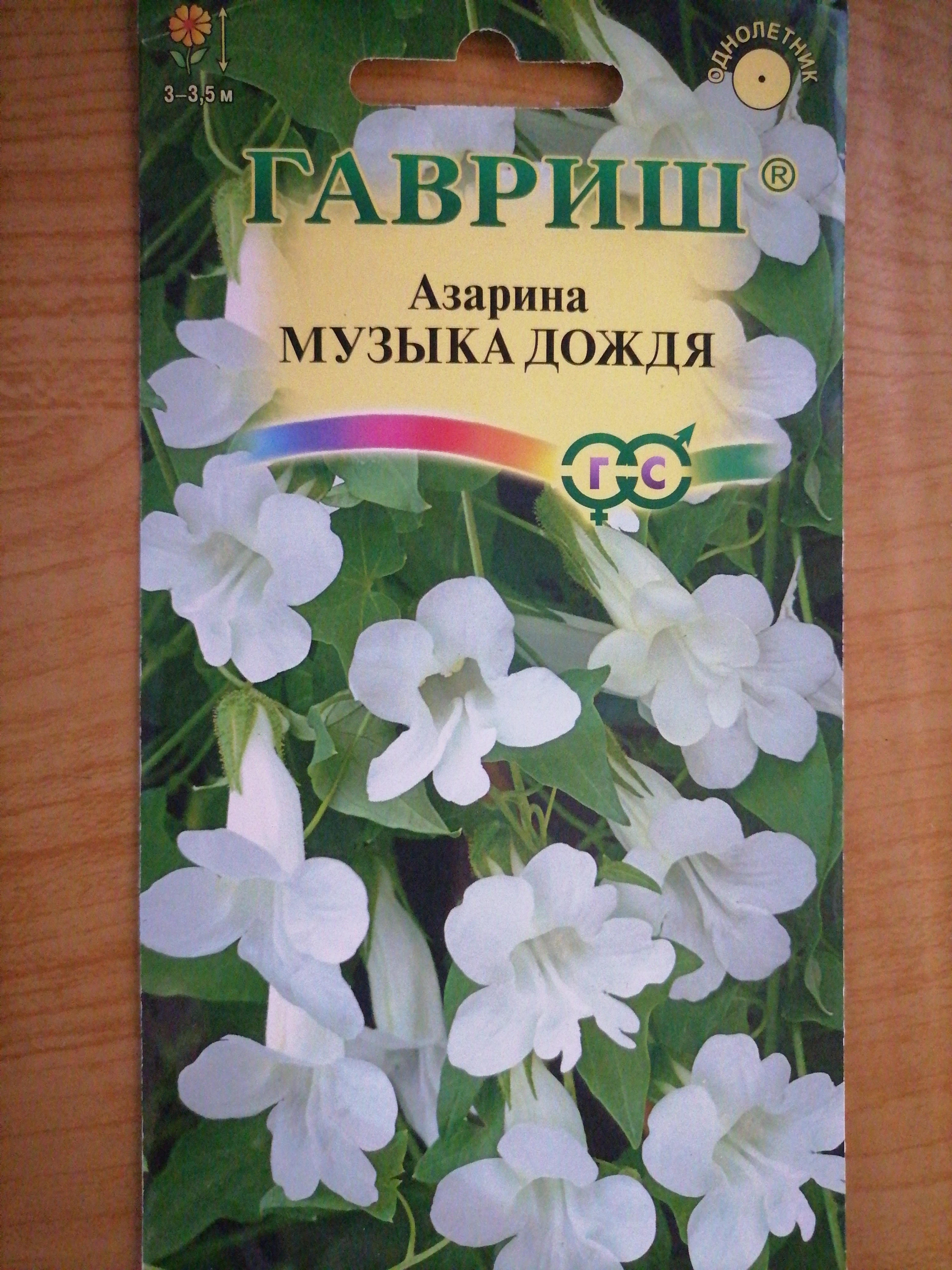 Азарина Семена Купить