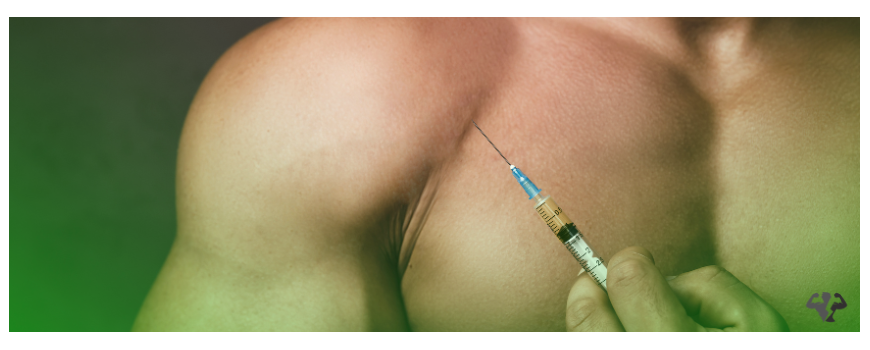 Steroid cycles