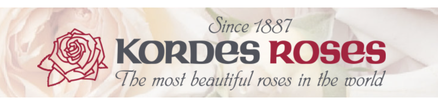 Рози KORDES®