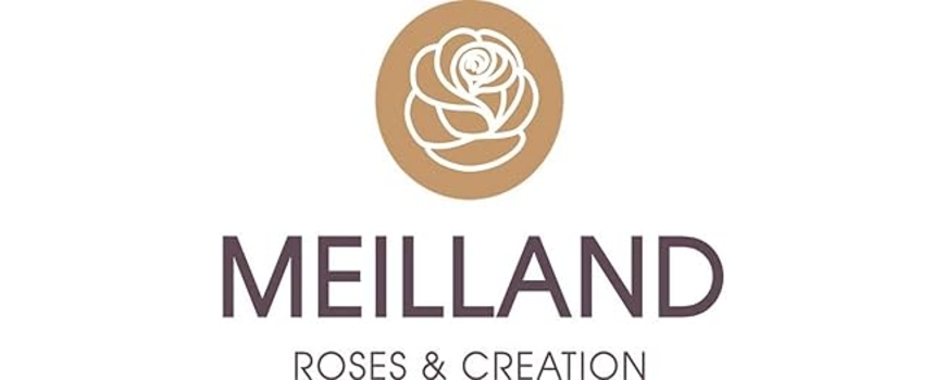 Рози MEILLAND®