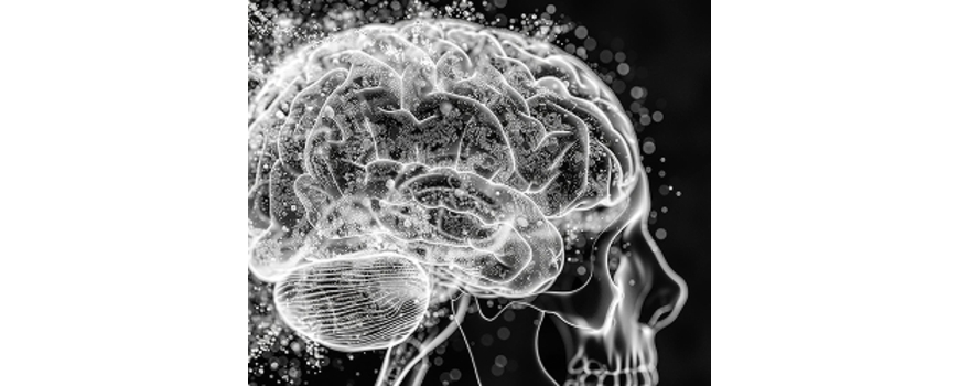 Brain Health and Cognitive Focus