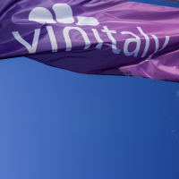 5StarWines - the Book,  награди от Vinitaly 2025