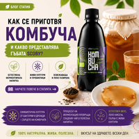Как се приготвя комбуча и какво представлява гъбата SCOBY?
