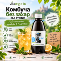 Комбуча без захар със стевия: Ново поколение комбуча в България
