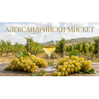 Винени сортове грозде: Александрийски Мискет