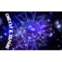 12 зодии, 1 пералня и нула търпение (освен ако не си Козирог)