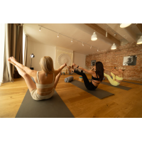 LOA - comfortable women's sportswear, manifesting and the Lion's
