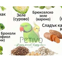 ИнфоКартички: какво може да яде твоят папагал
