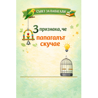 СЪВЕТ ЗА ПАПАГАЛИ