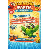 ЗАБАВЕН ФАКТ ЗА ПАПАГАЛИТЕ